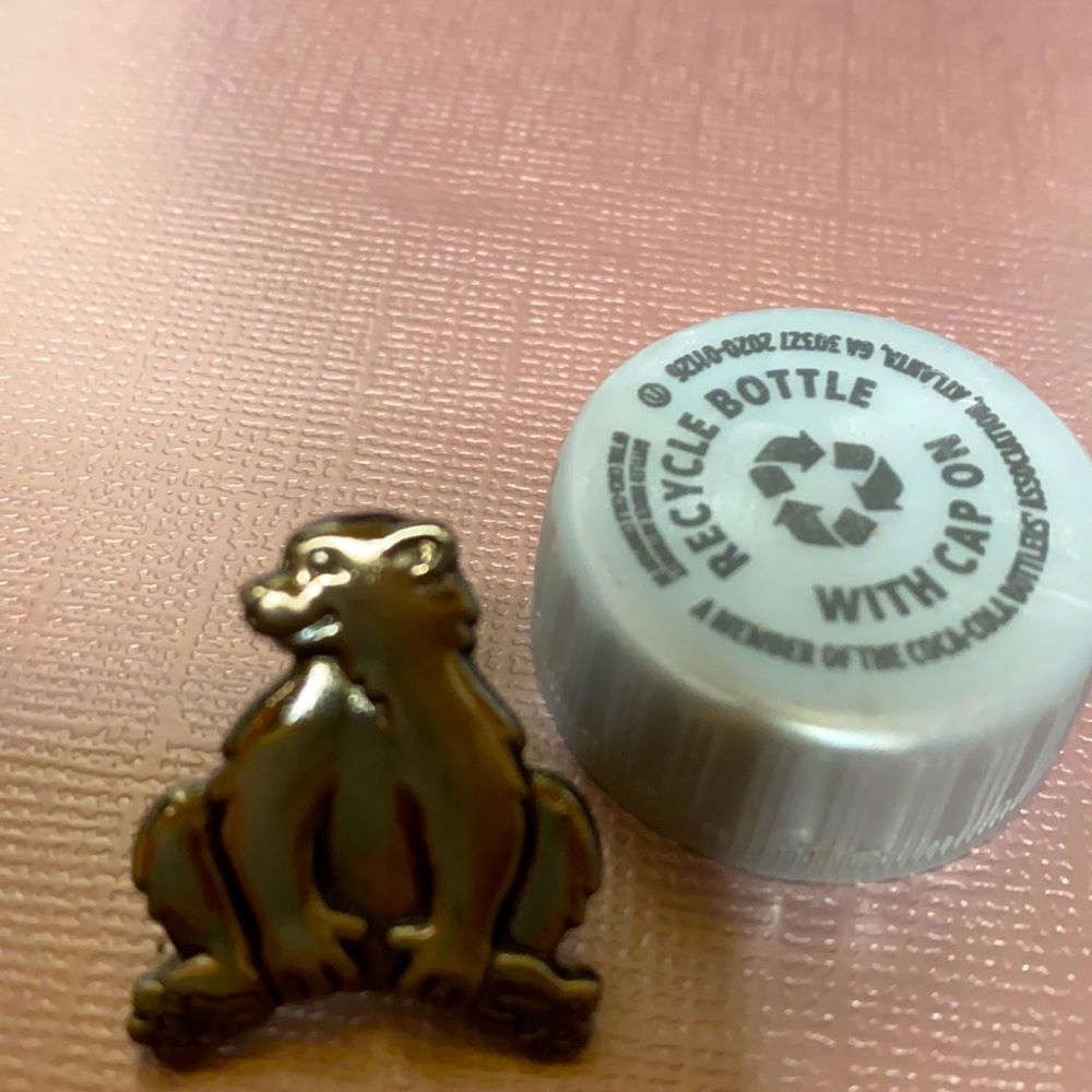 Bear 🐻 Pin